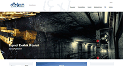Desktop Screenshot of helyumelektrik.com